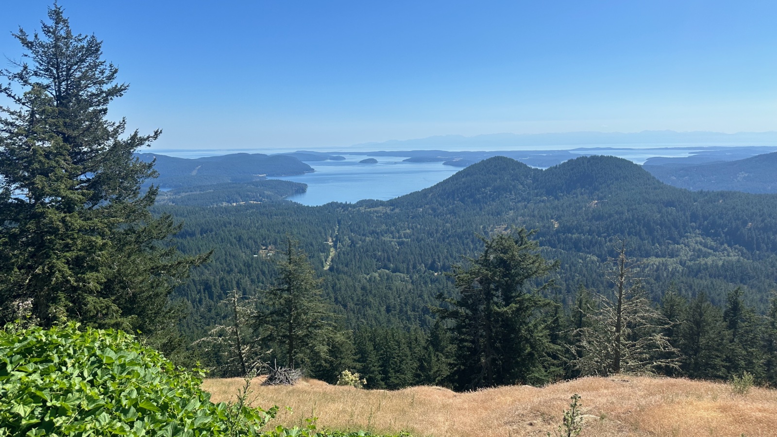 View over forested hills and the water of the San Juan Islands from the Garry Oak Overlook in Moran State Park, Orcas Island